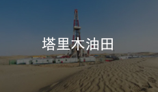 塔里木油田